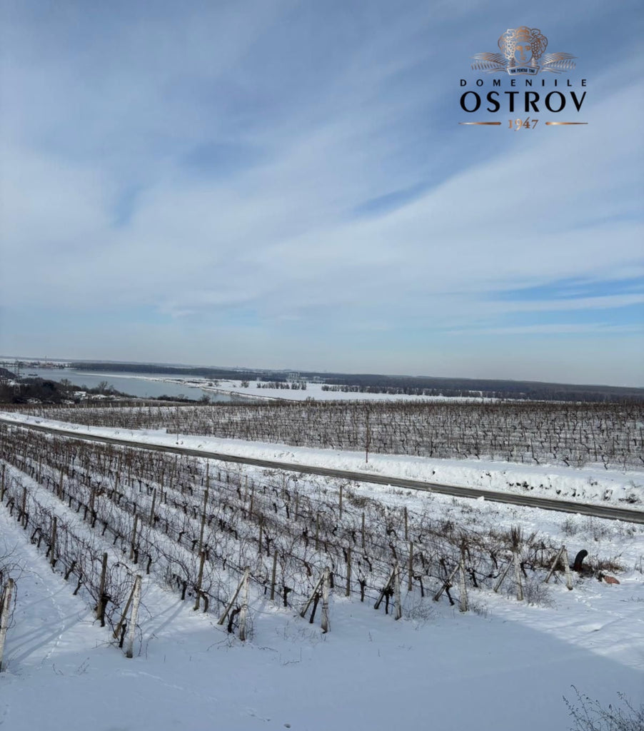 Zăpada acoperă viile, dar seva este în sticlele noastre!